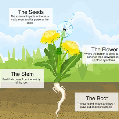 Root of trauma